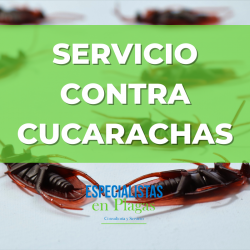SERVICIO CONTRA CUCARACHAS